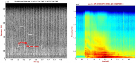 Images issues après traitement. Résultat de détection d'un sifflement (ronds rouges = pixels détectés) et spectrogramme de 5min d'un passage de bateau à moteur